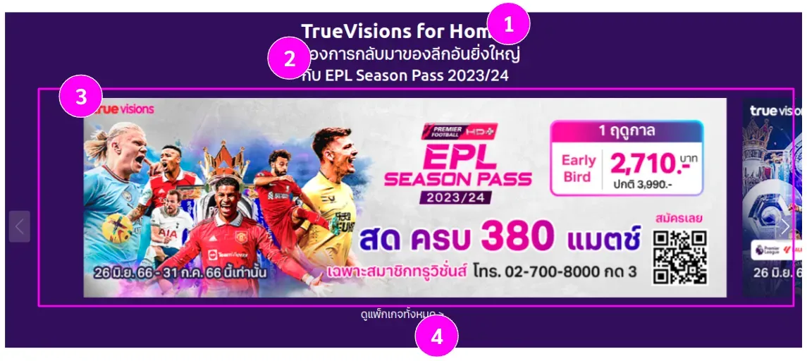 Slides Banners Fields